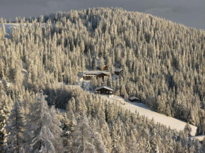Гостиница Kronplatz Ski Lodge, Оланг